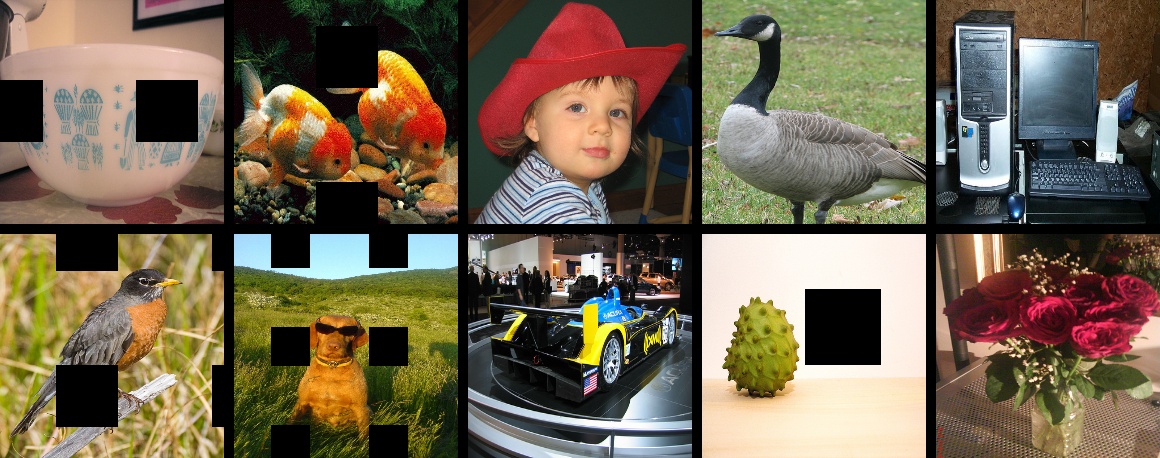 ../../_images/test_gridmask.jpeg