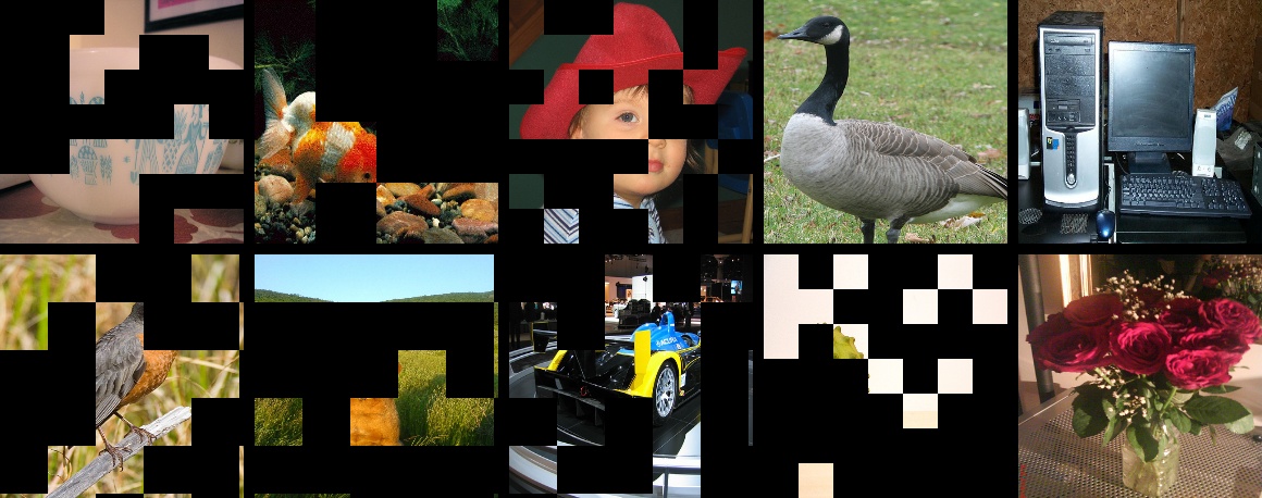 ../../_images/test_hideandseek.jpeg