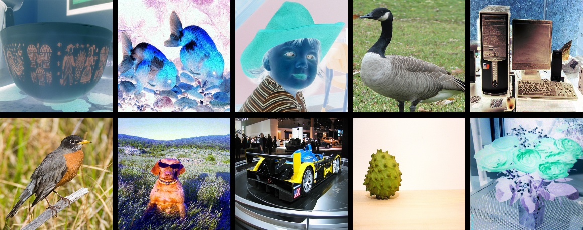 ../../_images/test_randaugment.jpeg