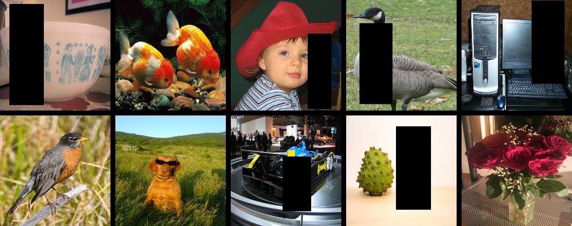 ../../_images/test_randomerassing.jpeg